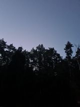 Benutzerfoto tywieszco