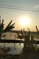 Foto pengguna masbrobagus170