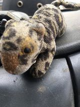 Benutzerfoto txtp