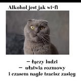 Benutzerfoto Mlokod