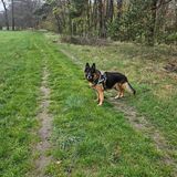 Benutzerfoto jooz15