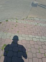 Benutzerfoto prezes7626