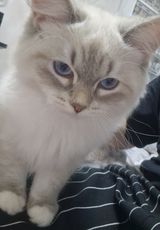 Foto pengguna kacper85576