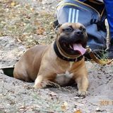 Benutzerfoto patryk27vip