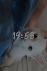 Foto pengguna ok7615562