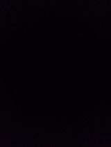 Foto pengguna cgdvgfsfgdxhfdc459