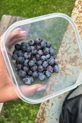 Фотография пользователя alabroda7