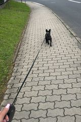 Фотография пользователя alabroda7