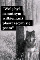 Фотография пользователя dziubeczek31