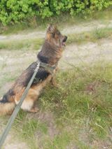 Benutzerfoto Lakiszyk