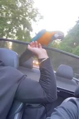 Benutzerfoto MartinMaxymilien