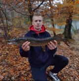 Benutzerfoto wojtyyy