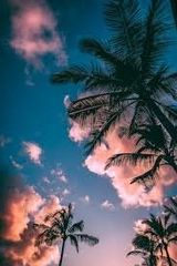 Foto pengguna JakubiakPa