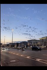 Benutzerfoto Lenaafll