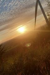 Фотография пользователя Eczem1