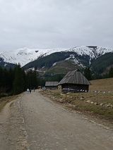 Фотография пользователя Tomasz4555