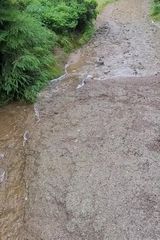 Benutzerfoto MarcinNiez