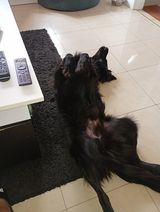Foto pengguna Dariusz881102