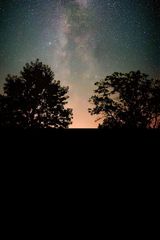 Foto pengguna alienslough