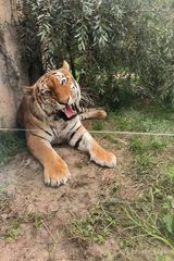 Foto pengguna OlaKce