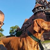 Benutzerfoto aleksandergog1969