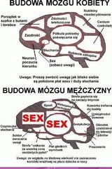 Foto pengguna AleksandraJankow29