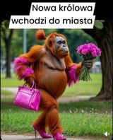 Foto pengguna Carpacci