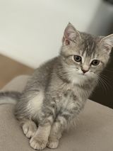 Фотография пользователя Karmal