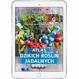 Foto pengguna MiachalSzewczyk