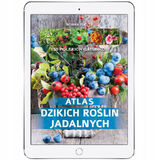 Фотография пользователя MiachalSzewczyk