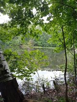 Benutzerfoto epaj
