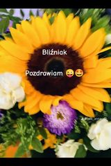 Foto pengguna Grosik80