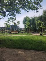 Benutzerfoto monikazielinska279