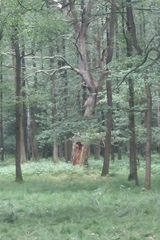 Benutzerfoto Bastian1993