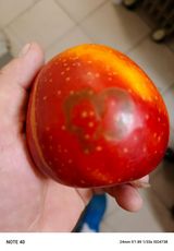 Foto pengguna zembal1