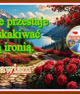 Foto pengguna KrzysztofNamyslo