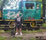 Fotos Tomaszbgt