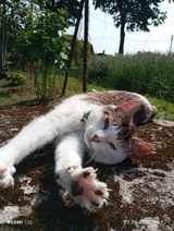 Foto pengguna Majki1188