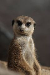Foto pengguna BardzoZraniony