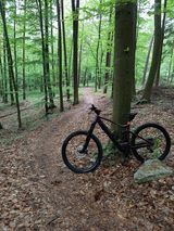 Fotos jakijak