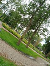 Fotos lukaszcharzynski97
