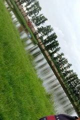 Foto pengguna arturnorbert38