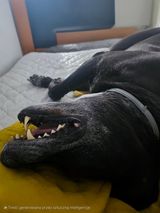 Fotos Morfeusz912