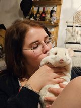 Benutzerfoto Nikolabak893