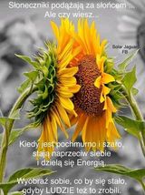 Benutzerfoto Anna77a