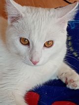 Foto pengguna JustynaSzymanska56