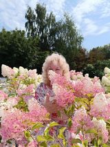 Фото користувача Nata2025