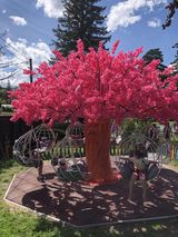 Zdjęcie użytkownika FajnyMis123