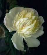 Benutzerfoto malwinawfinteria