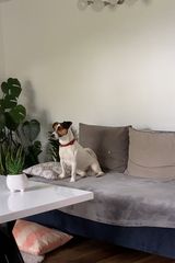 Benutzerfoto Frog5510